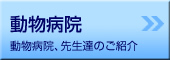 a@-a@A搶B̂Љ
