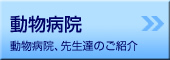 動物病院-動物病院、先生達のご紹介