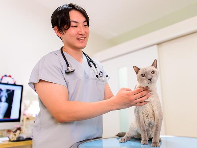 宍戸 優太 副院長