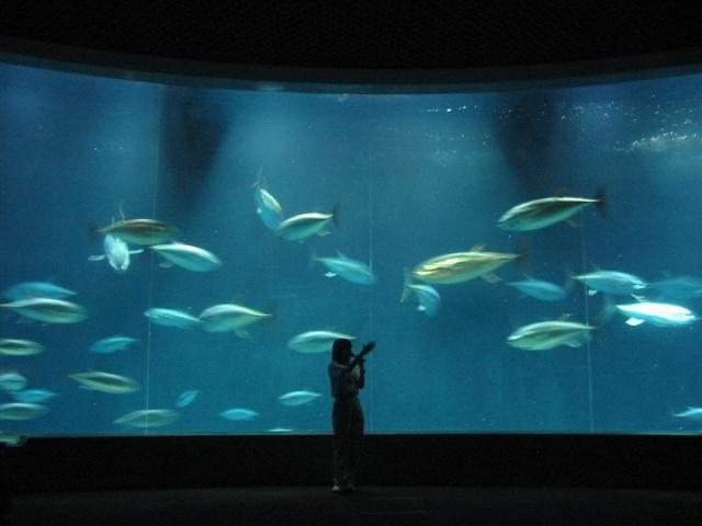 「春の隅田川下りと葛西臨海水族園の夕べ」