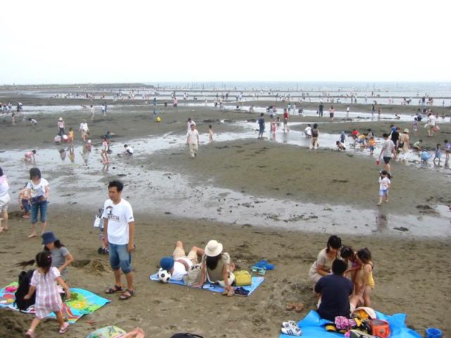 葛西海浜公園西なぎさのイベント情報