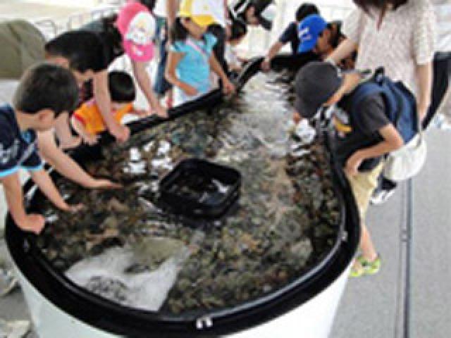 アクアマリンふくしまがやってくる！葛西臨海水族園