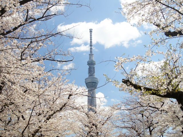 東京スカイツリーでは、春休...