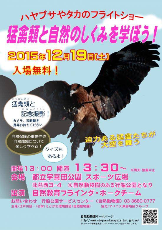 ハヤブサやタカたちが大空を舞うフライトショー 江戸川区のイベント ニュース 江戸川区時間