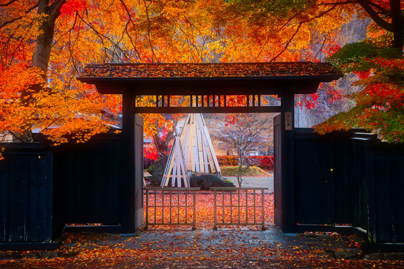 そろそろ紅葉の見ごろ、清澄...