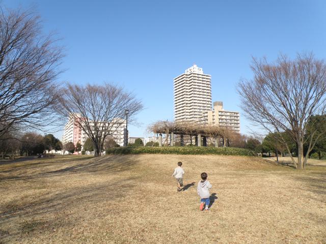 大島小松川公園（2）