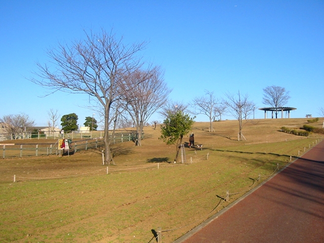 総合レクリエーション公園『なぎさ公園』