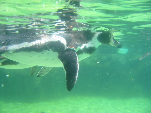 葛西臨海水族園